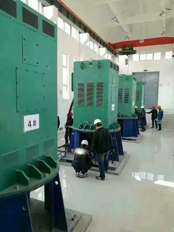 蓬安某污水处理厂使用我厂的立式高压电机安装现场