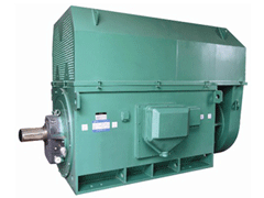 蓬安Y系列6KV高压电机